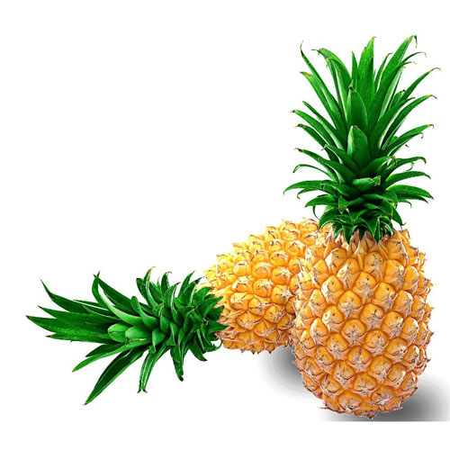 菠蘿